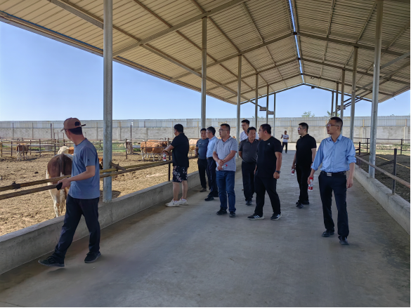 学习考察拓视野 外出招商促生长-兰州新区AB娱乐集团门户网站