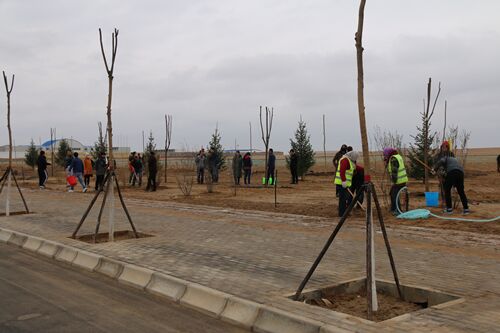 新区AB娱乐集团干部职工为新区添绿-兰州新区AB娱乐集团门户网站