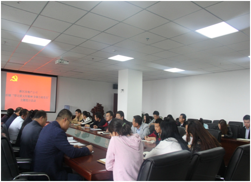 房地产公司开展“主题党日”活动-兰州新区AB娱乐集团门户网站