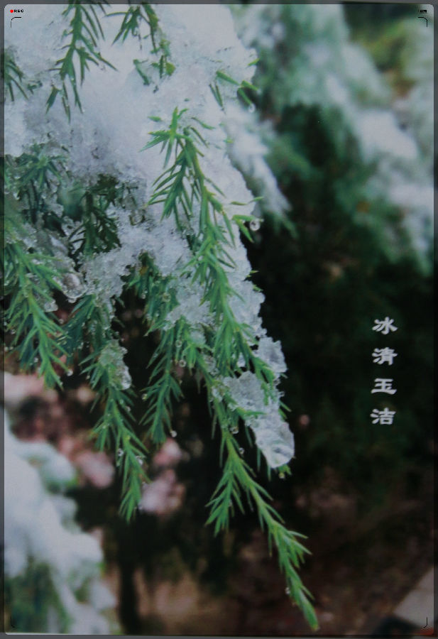 廉政摄影展-兰州新区AB娱乐集团门户网站