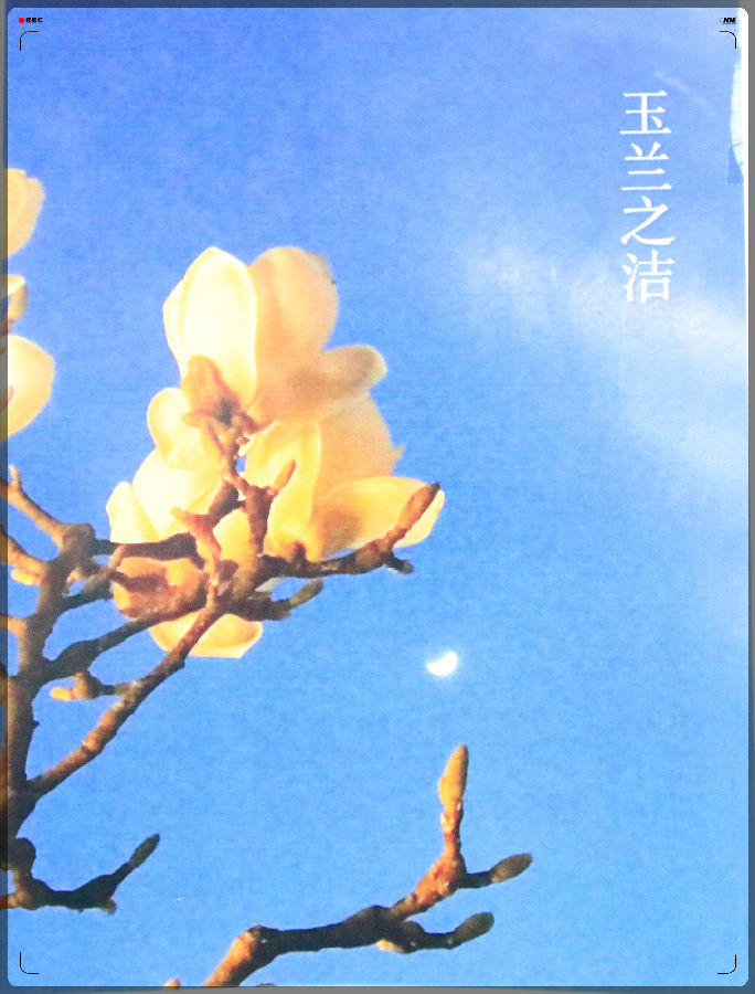 廉政摄影展-兰州新区AB娱乐集团门户网站