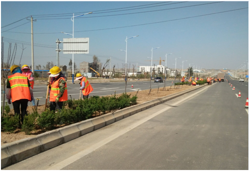 新区经九支、经三支、纬五支四等蹊径 绿化工程希望顺遂-兰州新区AB娱乐集团门户网站