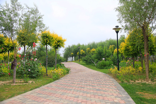 兰州新区迎宾公园即将开园迎客-兰州新区AB娱乐集团门户网站