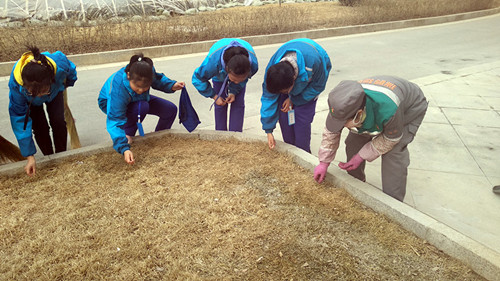 新区AB娱乐集团团委组织开展学雷锋自愿服务系列活动-兰州新区AB娱乐集团门户网站