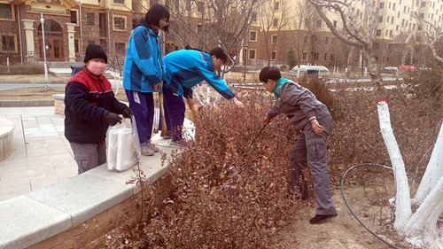 新区AB娱乐集团团委组织开展学雷锋自愿服务系列活动-兰州新区AB娱乐集团门户网站