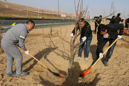 新区AB娱乐集团起劲加入2019年省市及兰州新区党政军向导义务植树活动-兰州新区AB娱乐集团门户网站