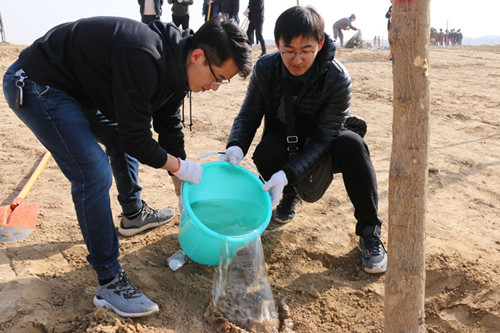 新区AB娱乐集团起劲加入2019年省市及兰州新区党政军向导义务植树活动-兰州新区AB娱乐集团门户网站